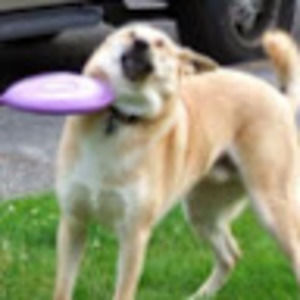 Meet your Posher, Trae